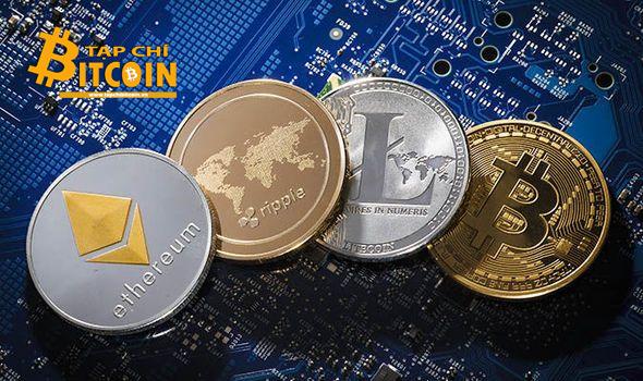Tạp chí crypto hàng đầu Việt Nam