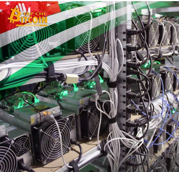 Tạp chí crypto hàng đầu Việt Nam