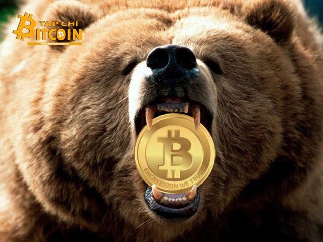 Tạp chí crypto hàng đầu Việt Nam