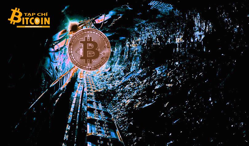 Tạp chí crypto hàng đầu Việt Nam
