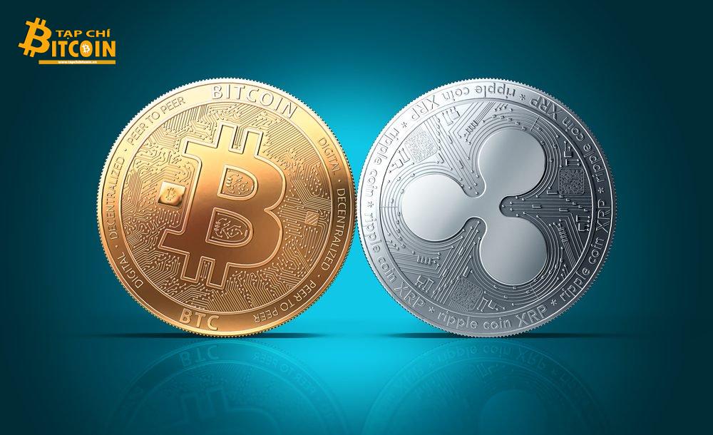 Tạp chí crypto hàng đầu Việt Nam