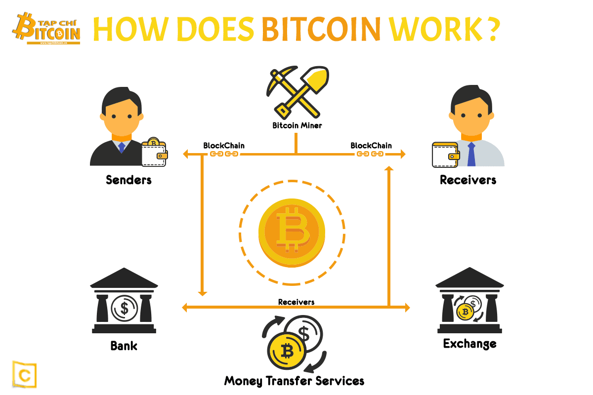 Tạp chí crypto hàng đầu Việt Nam