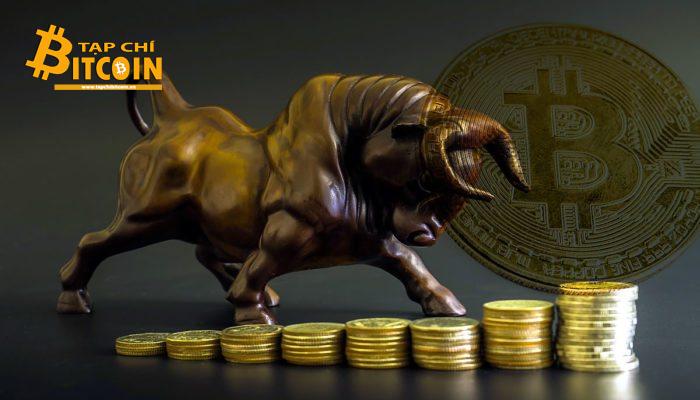 Tạp chí crypto hàng đầu Việt Nam