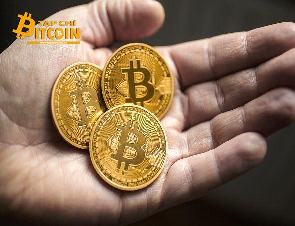 Tạp chí crypto hàng đầu Việt Nam