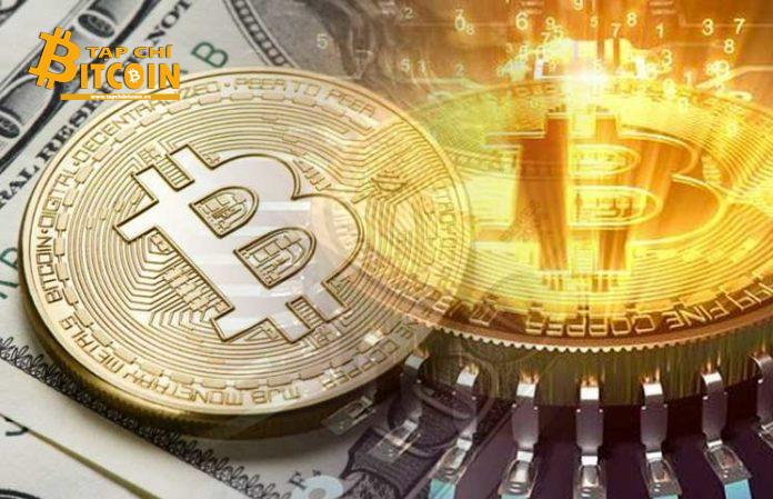 Tạp chí crypto hàng đầu Việt Nam