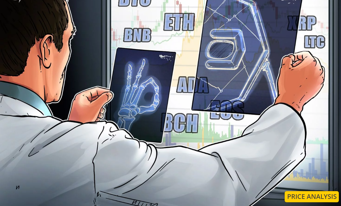Tạp chí crypto hàng đầu Việt Nam