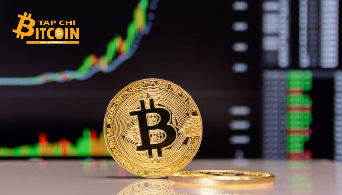 Tạp chí crypto hàng đầu Việt Nam