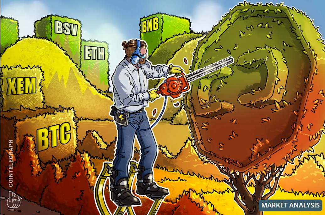 Tạp chí crypto hàng đầu Việt Nam