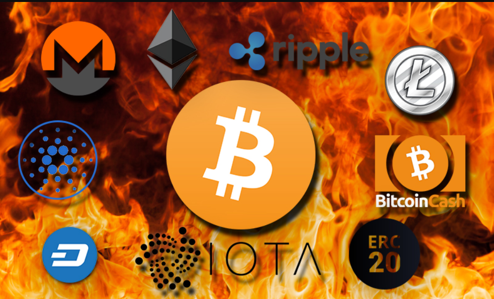 Tạp chí crypto hàng đầu Việt Nam