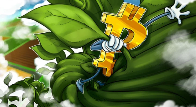 Tạp chí crypto hàng đầu Việt Nam