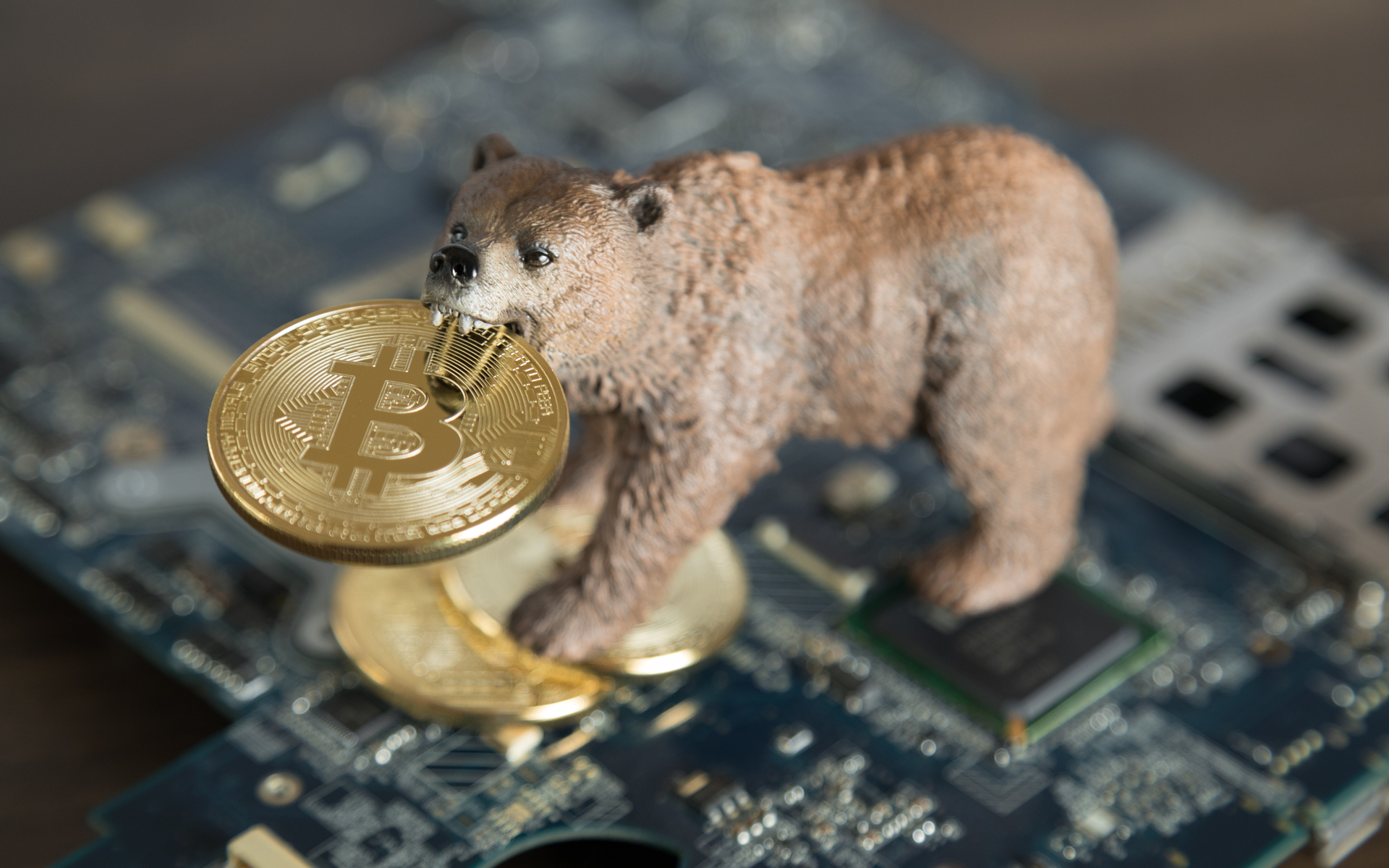 Tạp chí crypto hàng đầu Việt Nam