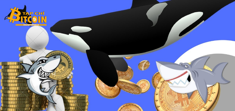 Tạp chí crypto hàng đầu Việt Nam