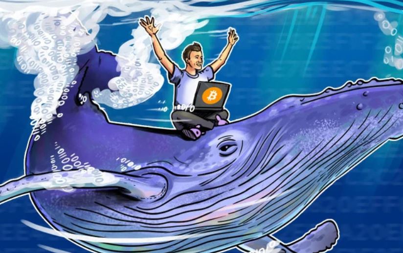 Tạp chí crypto hàng đầu Việt Nam