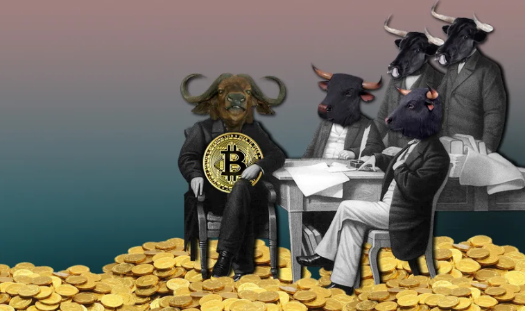 Tạp chí crypto hàng đầu Việt Nam