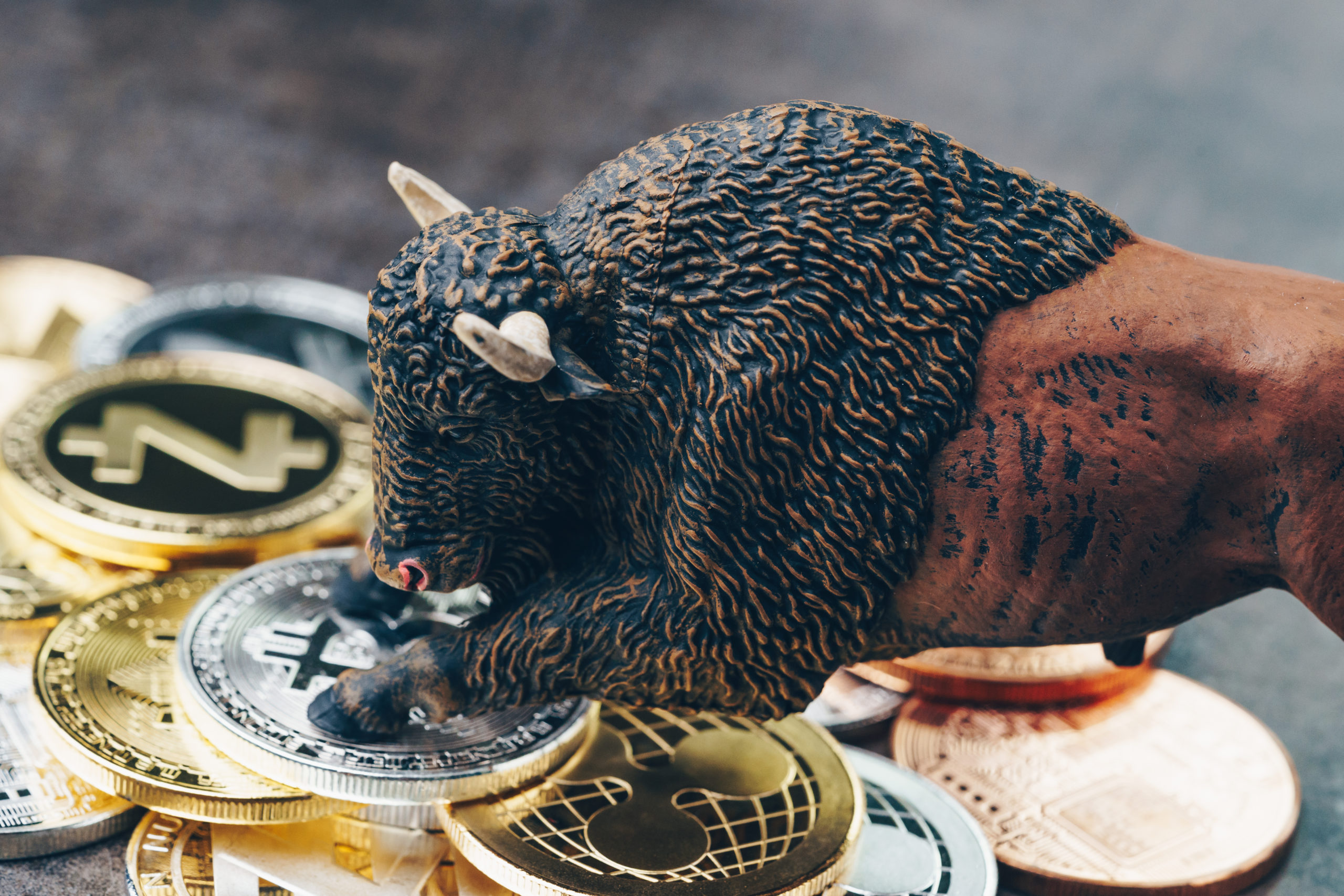 Tạp chí crypto hàng đầu Việt Nam