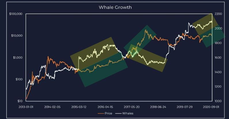 Bitcoin da khac 2019 (3)