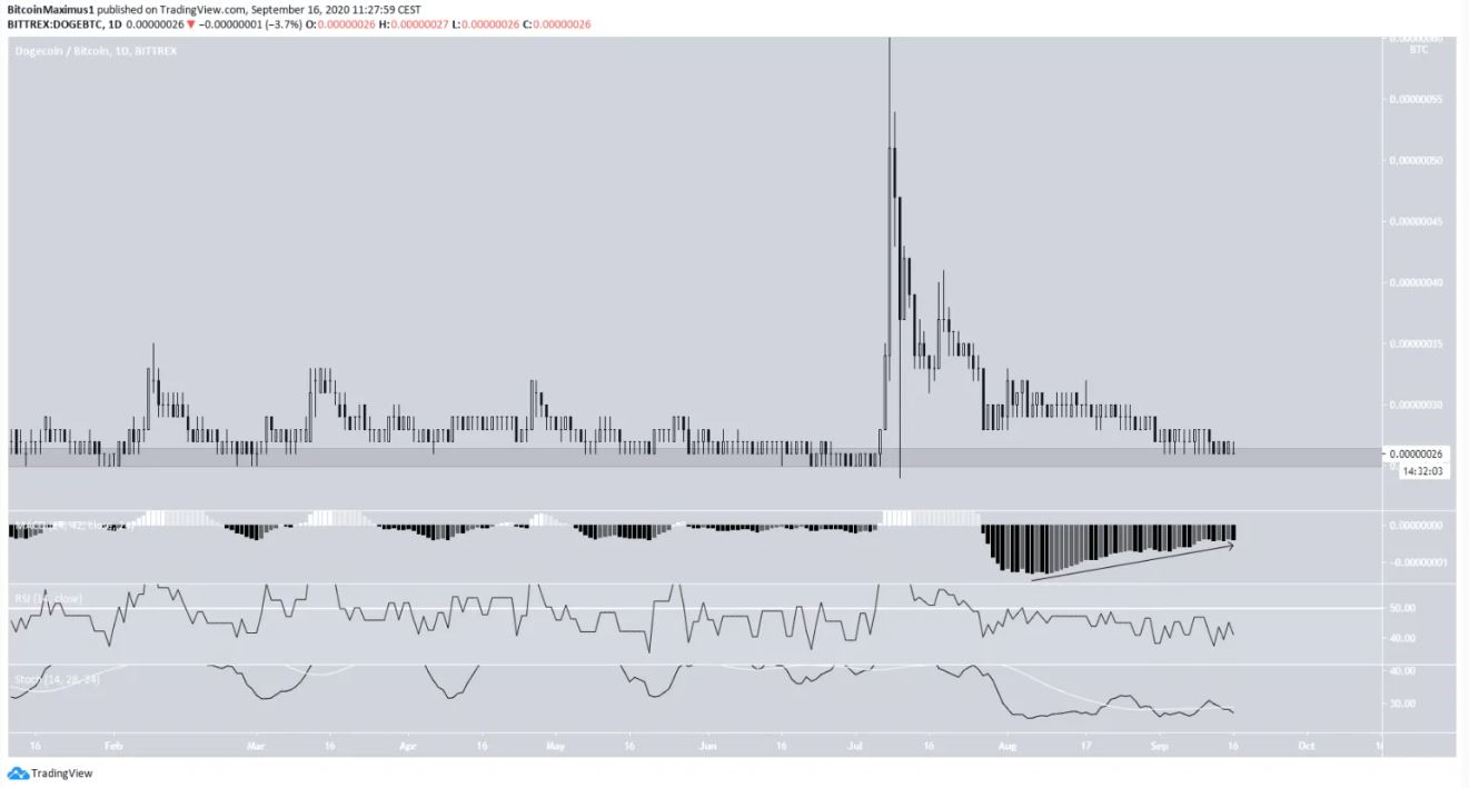 Gia DOGE 17.9 (2)