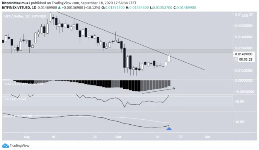 Gia VET 20.9 (3)