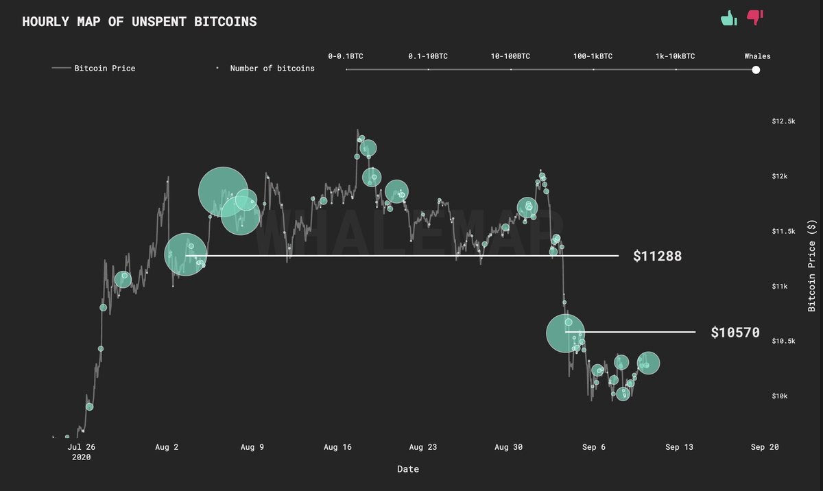 Bầy cá voi cho thấy mức 10,570 đô la là mức quan trọng nhất hiện tại của Bitcoin