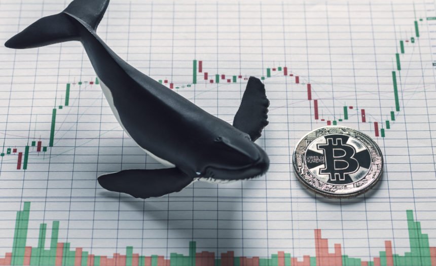 tin-van-crypto-10-12