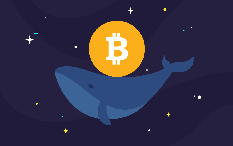 tin-van-crypto-28-12