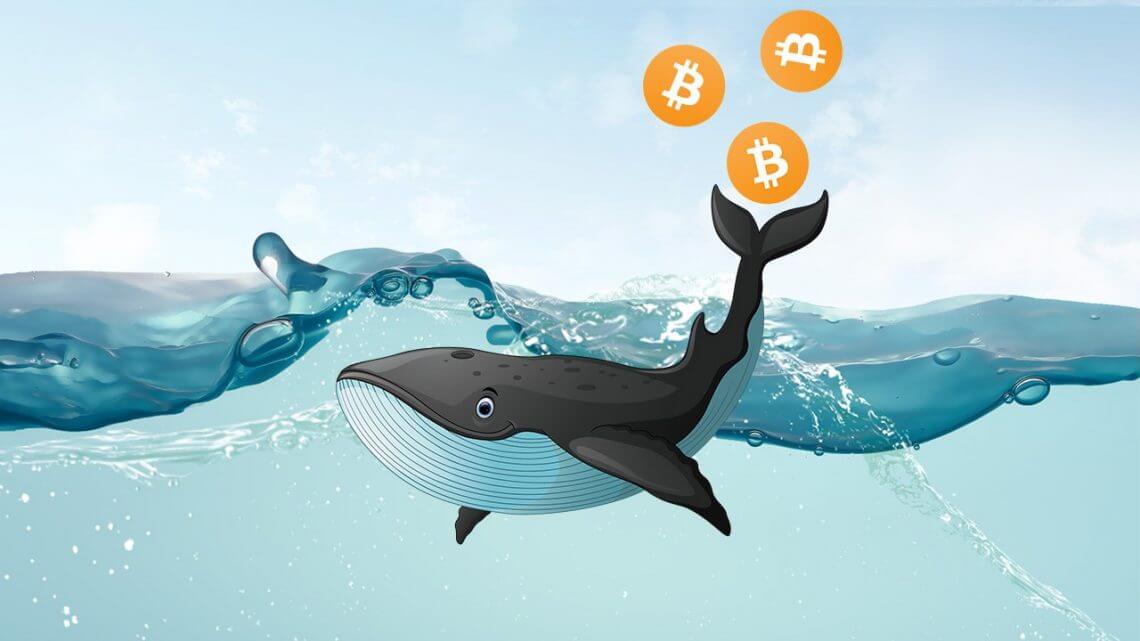 tin-van-crypto-22-01