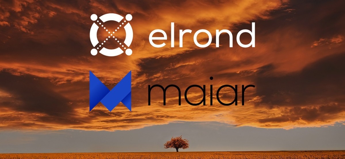 elrond