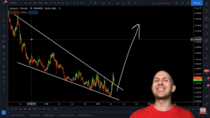 nha-phan-tich-randall-trzaska-cho-biet-day-la-cac-altcoin-hang-dau-de-mua-cho-dot-tang-gia-nam-2021