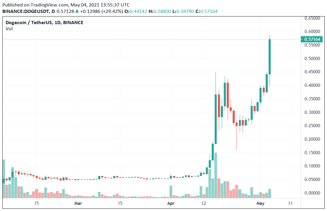 Gia DOGEcoin 3