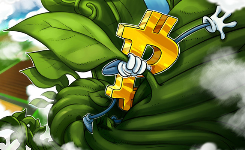 Tạp chí crypto hàng đầu Việt Nam