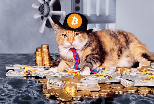 Tạp chí crypto hàng đầu Việt Nam