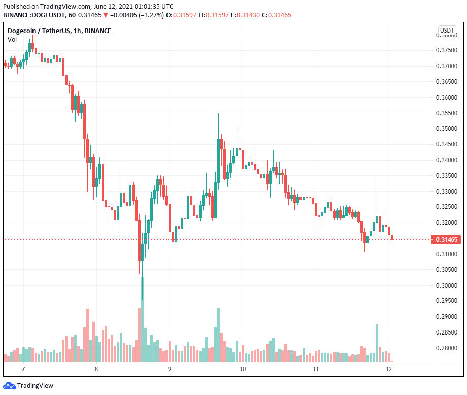 NFT của bức ảnh truyền cảm hứng cho Dogecoin vừa được bán với giá 4 triệu đô la