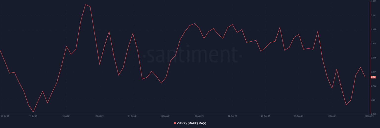Tất cả những gì bạn cần biết về MATIC trước khi đầu tư