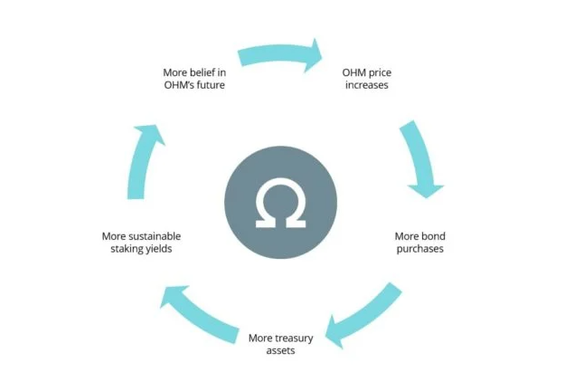 Snowdog (SDOG) mất hơn 90% giá trị kể từ khi buyback theo kế hoạch của giao thức.
