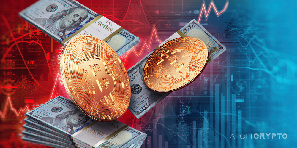 Tạp chí crypto hàng đầu Việt Nam