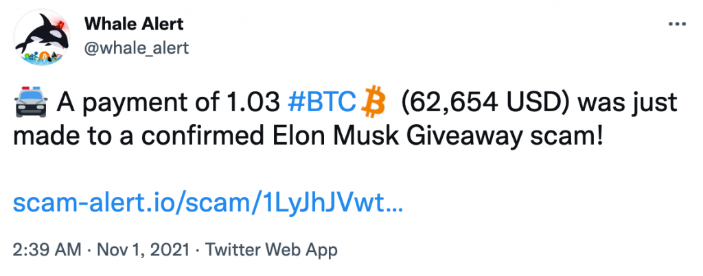 nhung-ke-lua-dao-mao-danh-elon-musk-da-lua-dao-62654-usd-bang-bitcoin