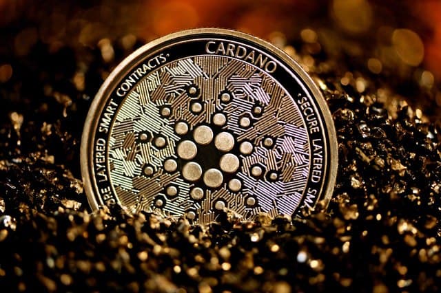 cardano