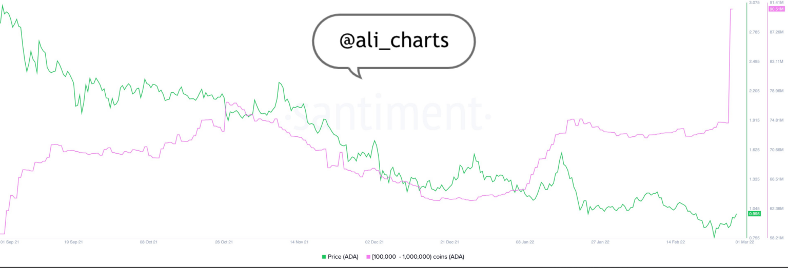 Cardano