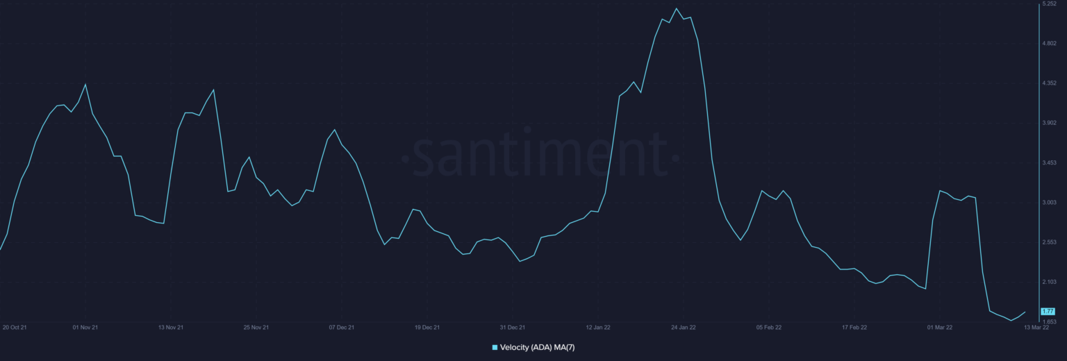 Cardano