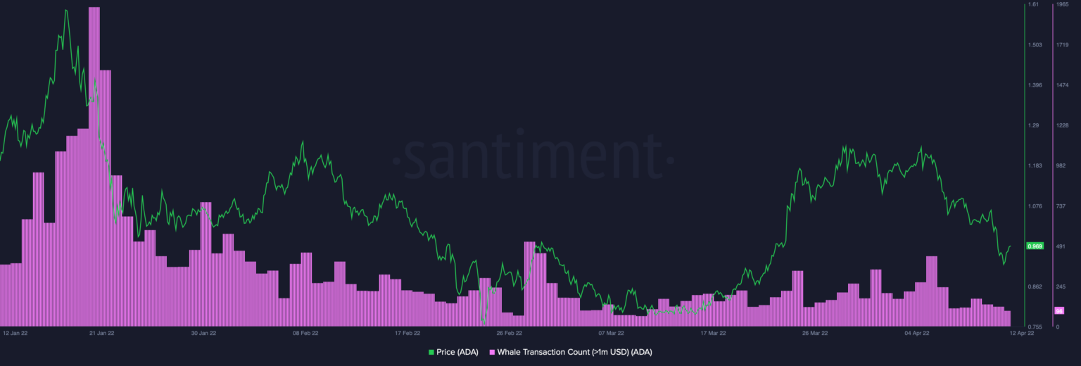 Cardano