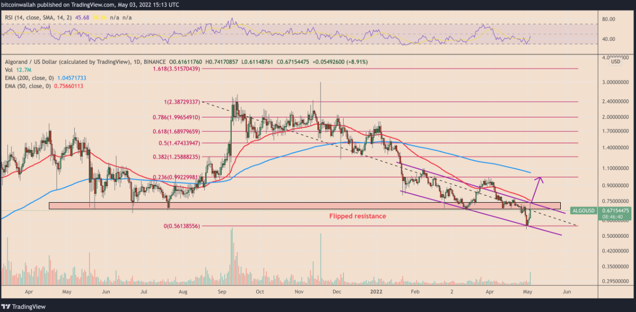 ALGO) có nguy cơ điều chỉnh 25%
