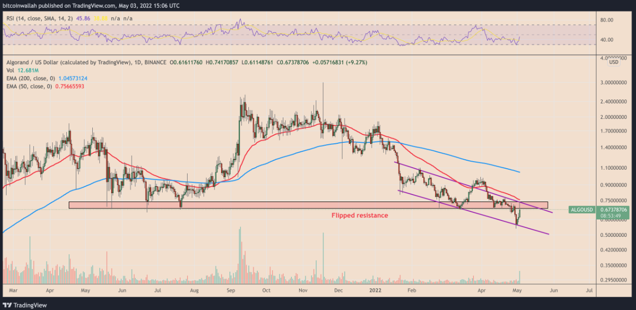 ALGO) có nguy cơ điều chỉnh 25%
