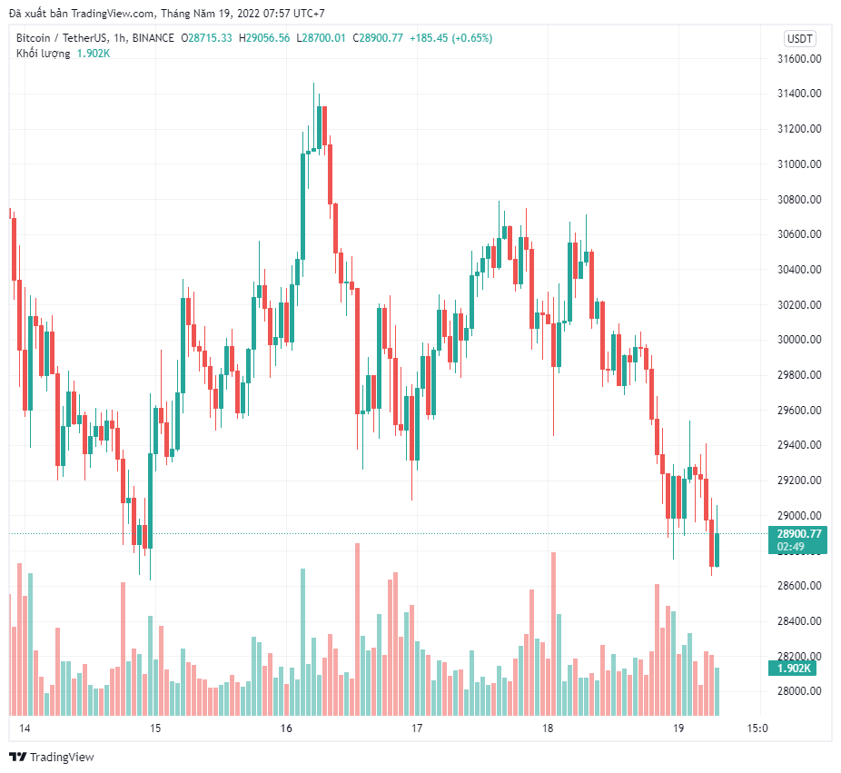 Giá Bitcoin giảm xuống dưới 29 nghìn đô la