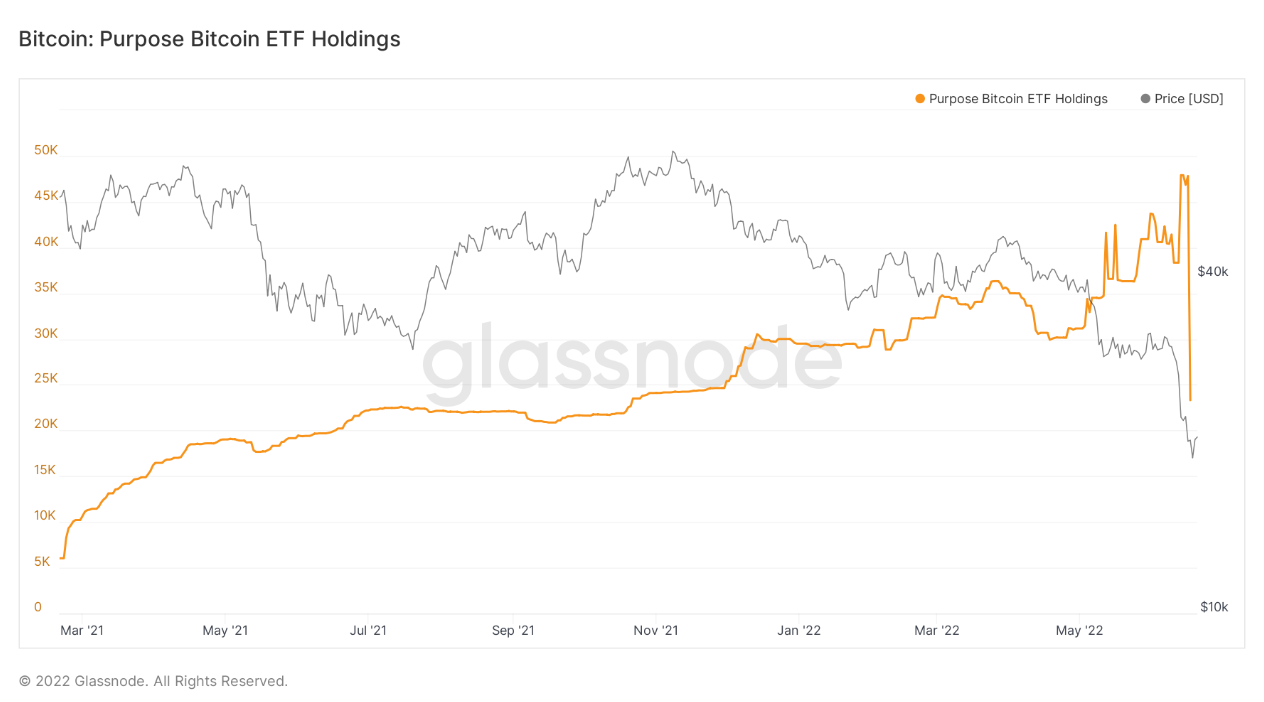 Bitcoin có khả năng bán tháo khi AUM của Purpose Bitcoin ETF giảm 51%