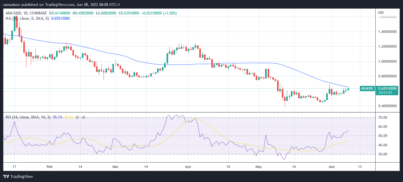Cardano 1