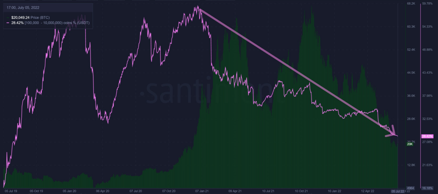 usdt
