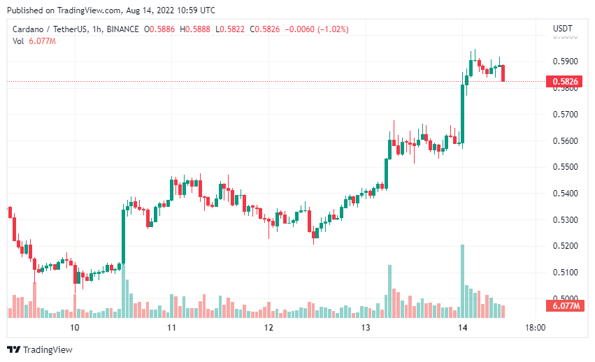 tin-van-crypto-14-08