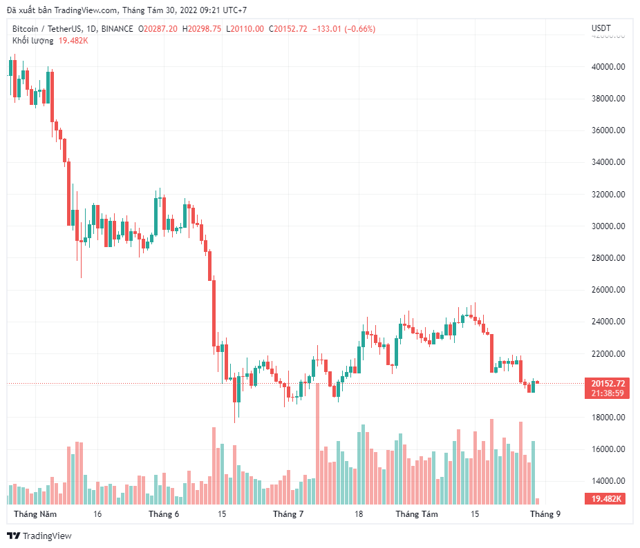 Dữ liệu cho thấy cá voi Bitcoin đang bán tháo