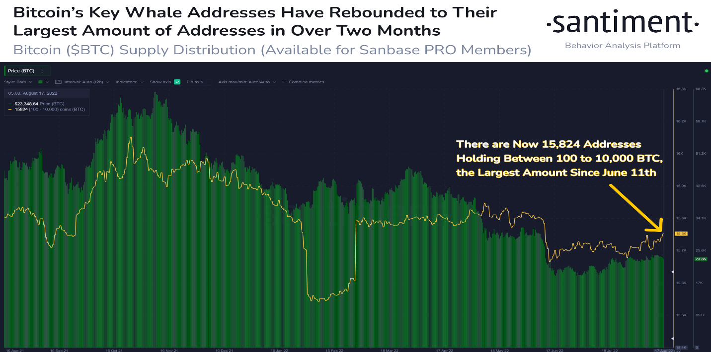 Bitcoin 1