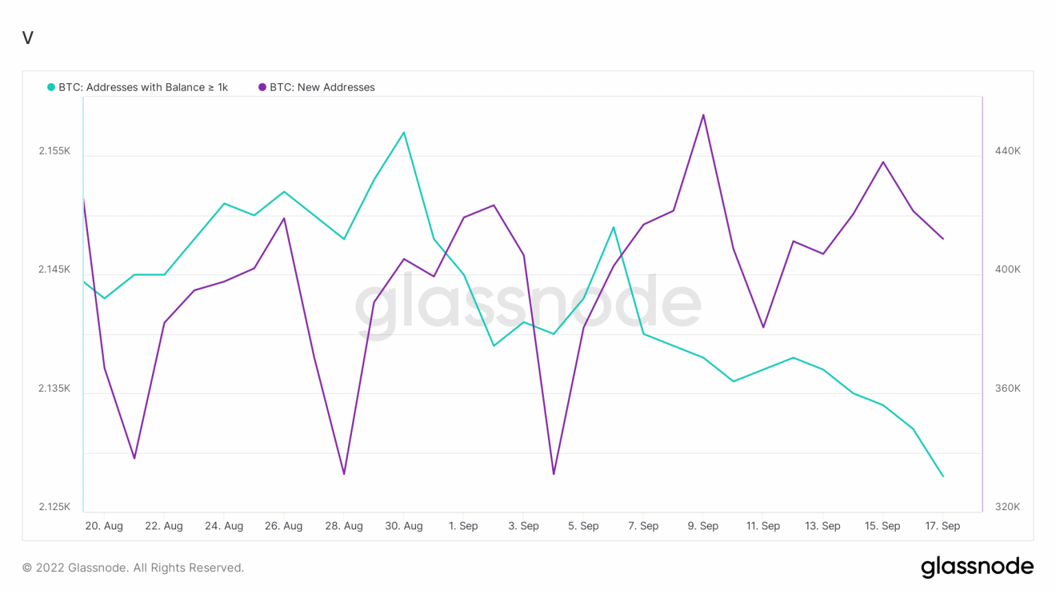 gia-coin-hom-nay-19-09